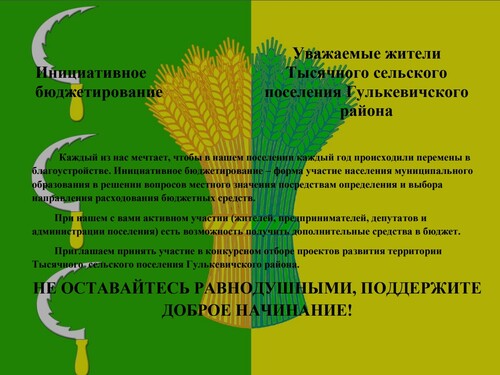 Инициативное бюджетирование