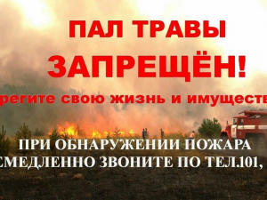 Осторожно: сухая трава!