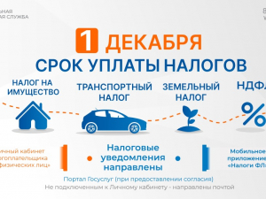 уплатить налоги