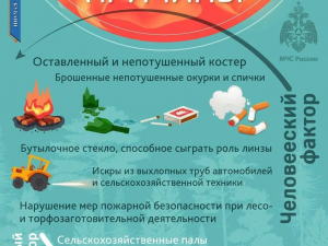 Причины природных пожаров