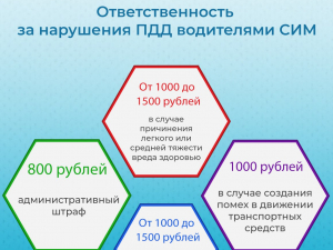 Безопасность дорожного движения
