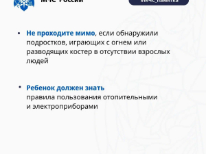 ШАЛОСТИ С ОГНЕМ